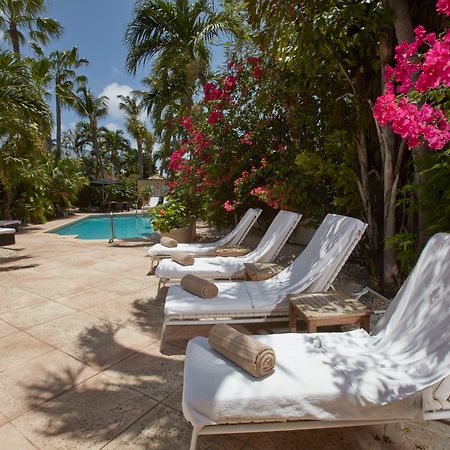 Paradera Park Aruba Oranjestad Eksteriør billede