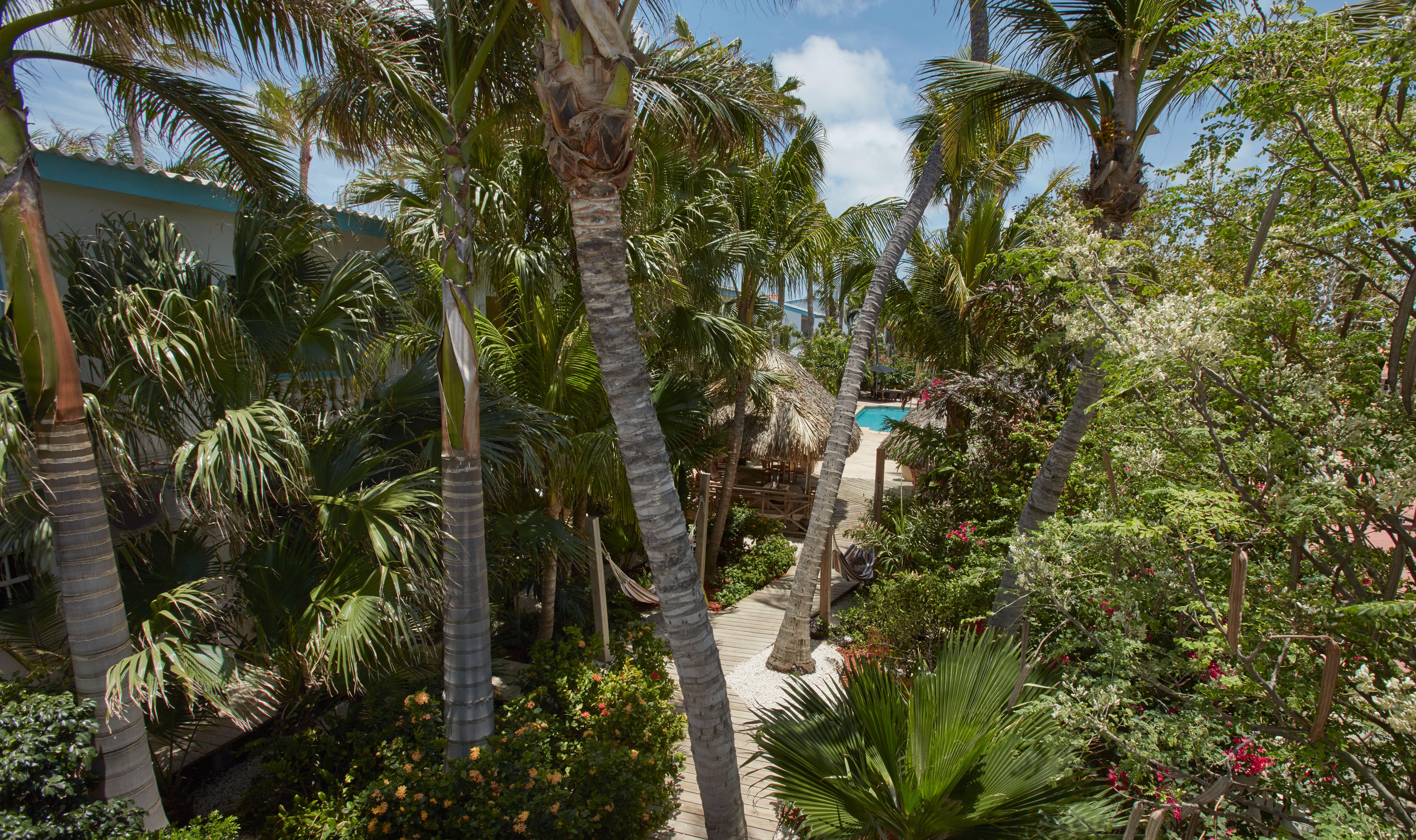 Paradera Park Aruba Oranjestad Eksteriør billede