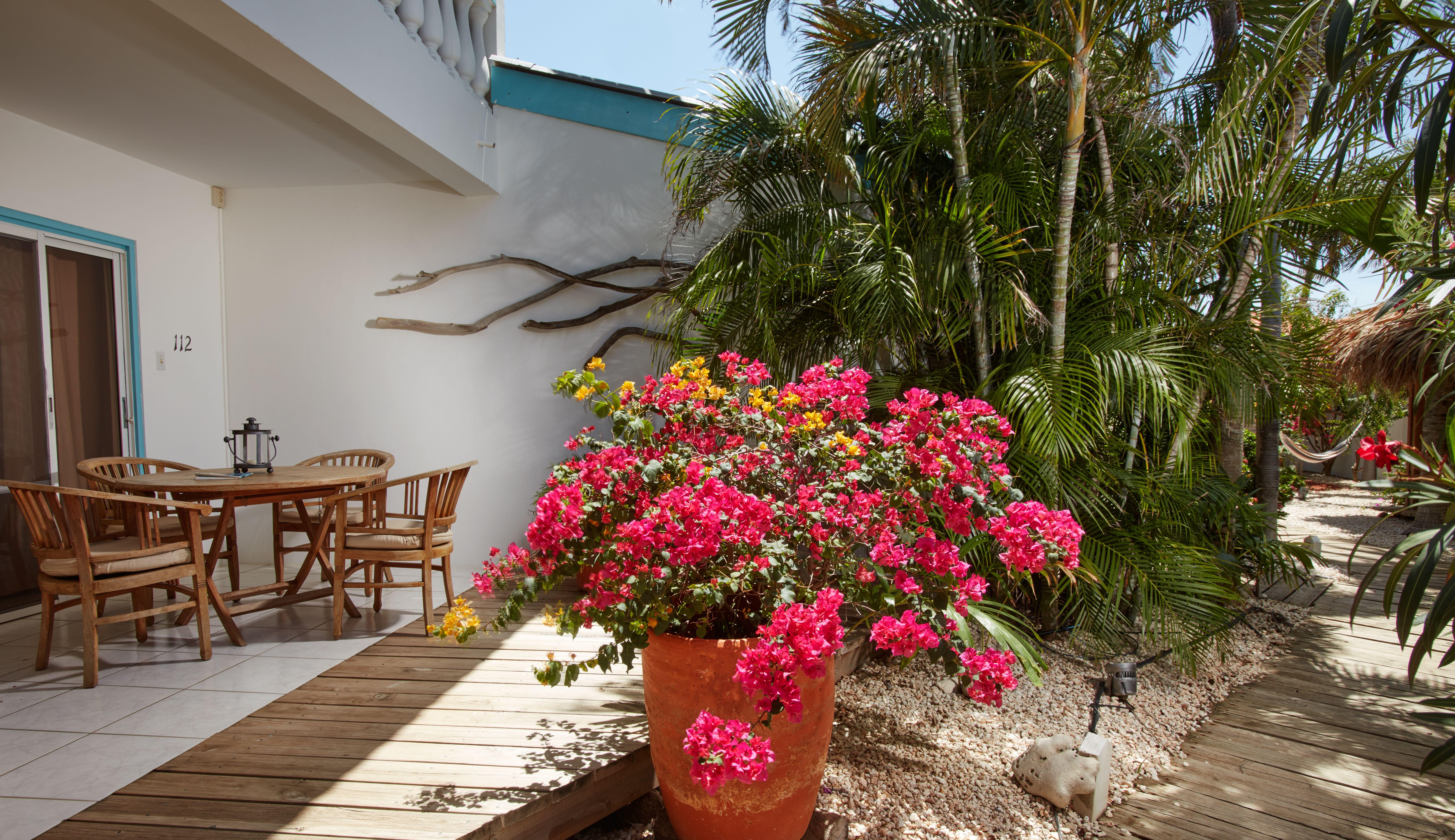 Paradera Park Aruba Oranjestad Eksteriør billede